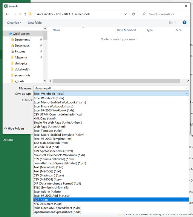 Screenshot of Excel Save dialog box open with File Format PDF selected